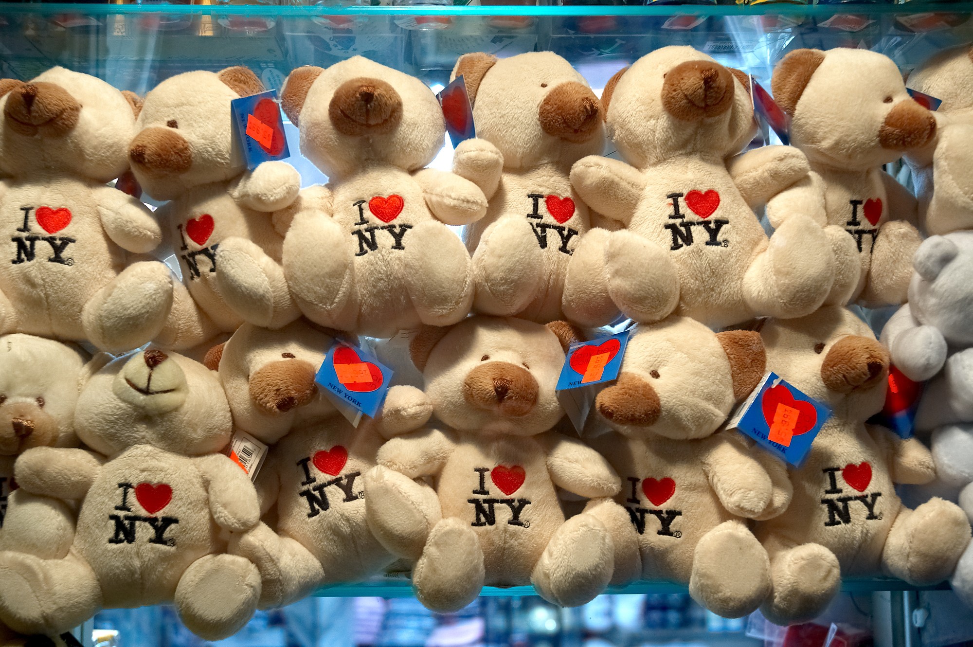 A display shelf packed with identical teddy bears, each with I ♥ NY stitched on its chest and a price tag